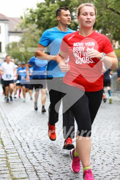 Hofmühlvolksfest-Halbmarathon Gloffer Werd