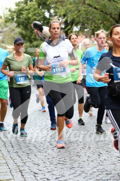 Hofmühlvolksfest-Halbmarathon Gloffer Werd