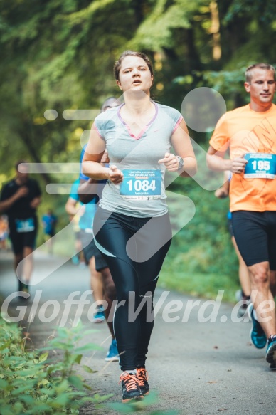 Hofmühlvolksfest-Halbmarathon Gloffer Werd