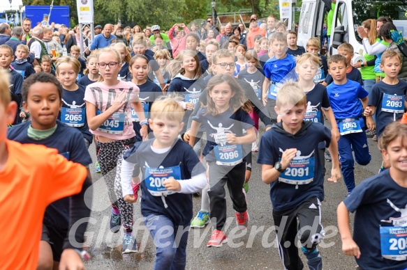 Hofmühlvolksfest-Halbmarathon Gloffer Werd