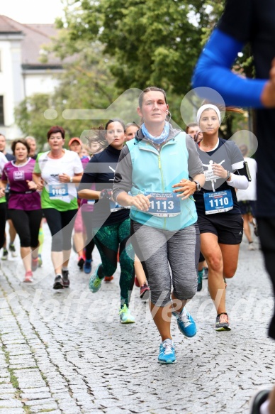 Hofmühlvolksfest-Halbmarathon Gloffer Werd