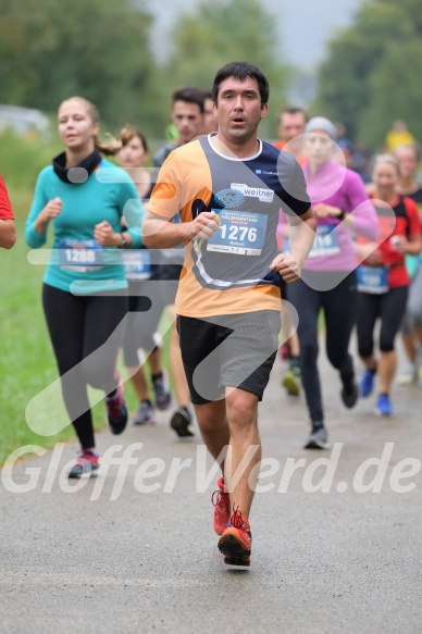 Hofmühlvolksfest-Halbmarathon Gloffer Werd