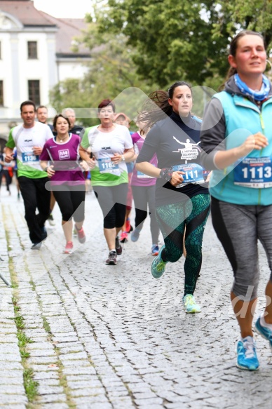 Hofmühlvolksfest-Halbmarathon Gloffer Werd