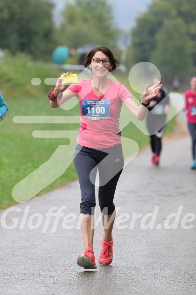 Hofmühlvolksfest-Halbmarathon Gloffer Werd