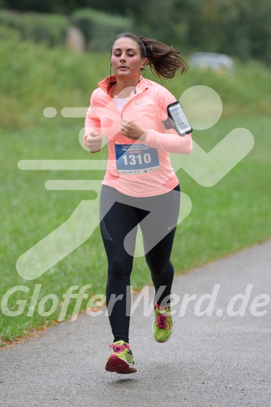 Hofmühlvolksfest-Halbmarathon Gloffer Werd