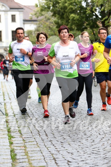 Hofmühlvolksfest-Halbmarathon Gloffer Werd