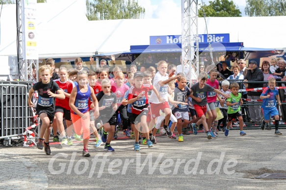 Hofmühl Volksfest-Halbmarathon Gloffer Werd