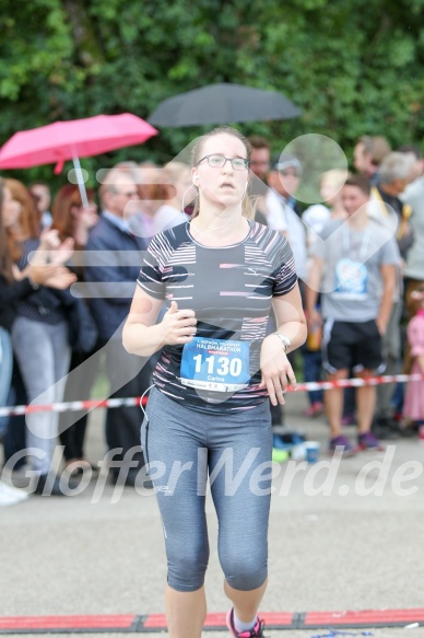 Hofmühl Volksfest-Halbmarathon Gloffer Werd