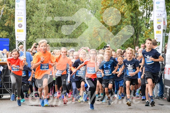 Hofmühlvolksfest-Halbmarathon Gloffer Werd