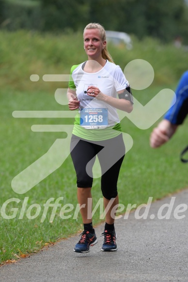 Hofmühlvolksfest-Halbmarathon Gloffer Werd