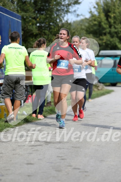 Hofmühl Volksfest-Halbmarathon Gloffer Werd