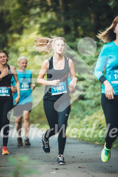 Hofmühlvolksfest-Halbmarathon Gloffer Werd