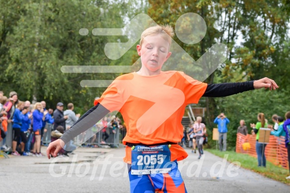 Hofmühlvolksfest-Halbmarathon Gloffer Werd