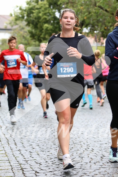 Hofmühlvolksfest-Halbmarathon Gloffer Werd