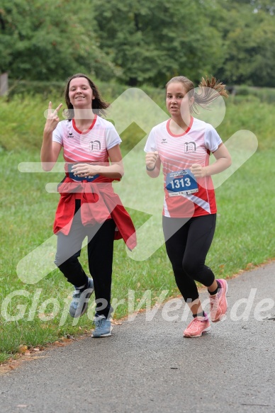 Hofmühlvolksfest-Halbmarathon Gloffer Werd