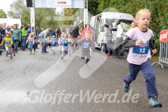 Hofmühlvolksfest-Halbmarathon Gloffer Werd