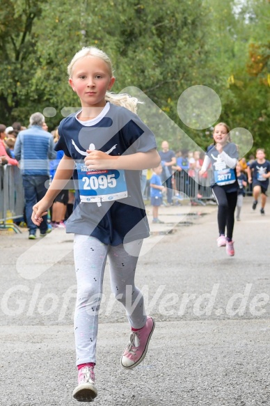 Hofmühlvolksfest-Halbmarathon Gloffer Werd