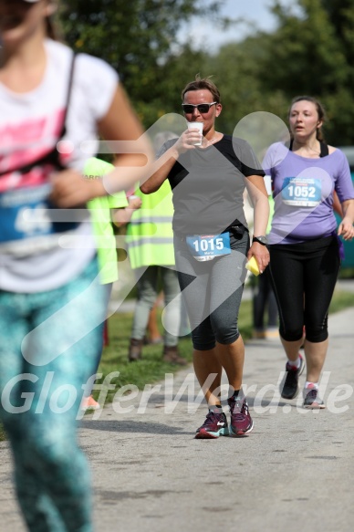 Hofmühl Volksfest-Halbmarathon Gloffer Werd