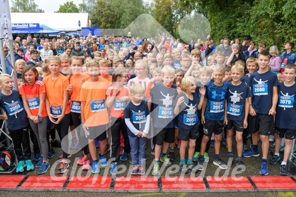 Hofmühlvolksfest-Halbmarathon Gloffer Werd