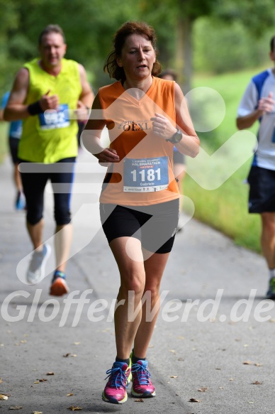 Hofmühl Volksfest-Halbmarathon Gloffer Werd