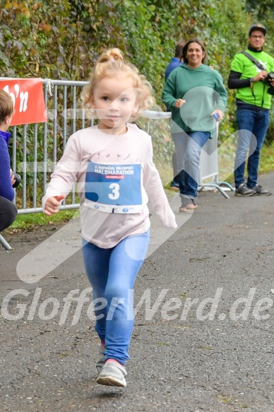 Hofmühlvolksfest-Halbmarathon Gloffer Werd