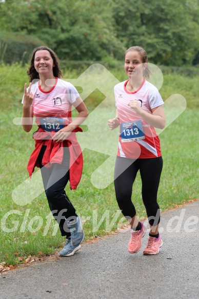 Hofmühlvolksfest-Halbmarathon Gloffer Werd