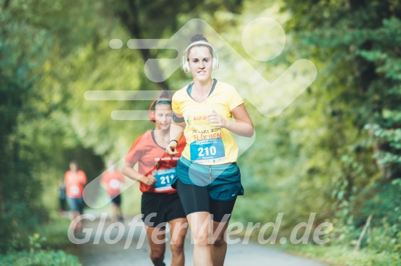 Hofmühlvolksfest-Halbmarathon Gloffer Werd