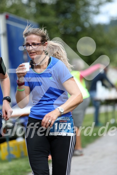 Hofmühl Volksfest-Halbmarathon Gloffer Werd