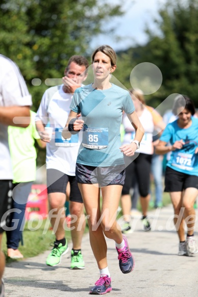 Hofmühl Volksfest-Halbmarathon Gloffer Werd