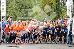 Hofmühlvolksfest-Halbmarathon Gloffer Werd