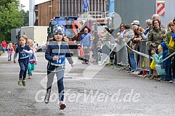 Hofmühlvolksfest-Halbmarathon Gloffer Werd