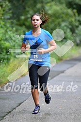 Hofmühl Volksfest-Halbmarathon Gloffer Werd