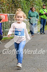 Hofmühlvolksfest-Halbmarathon Gloffer Werd